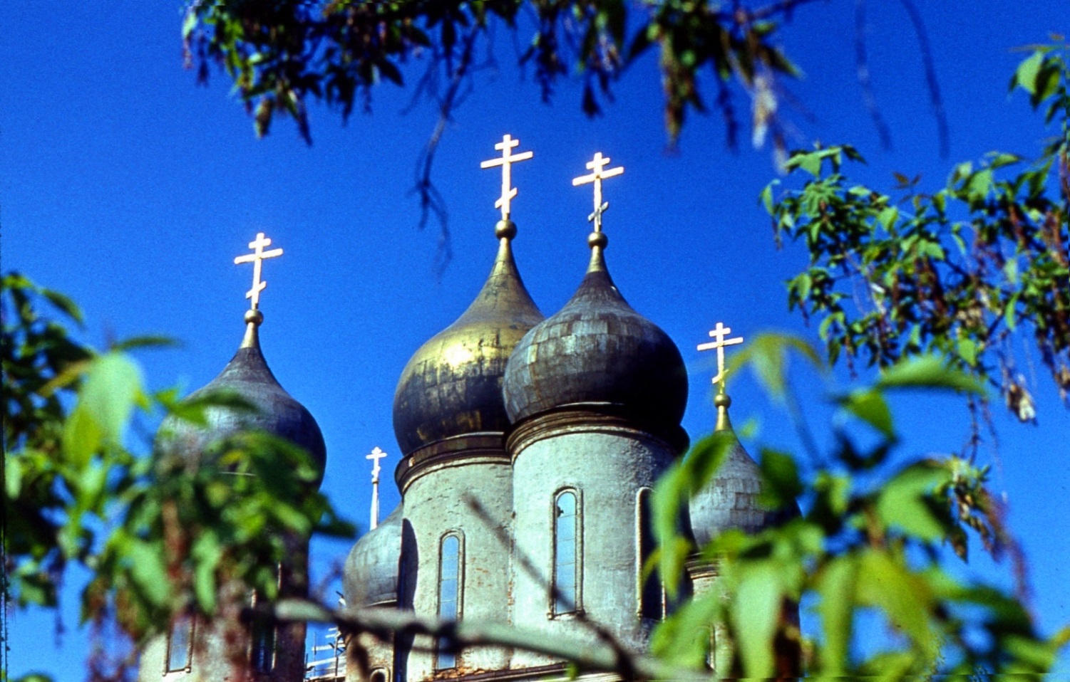 Коломна Церковь Тихвинской Богоматери